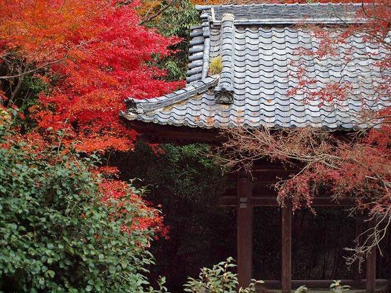 Guest House Hana Оцу Экстерьер фото